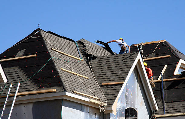 Best Roof Leak Repair  in Spicer, MN