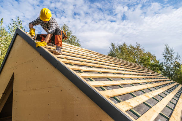 Best Roof Waterproofing Services  in Spicer, MN