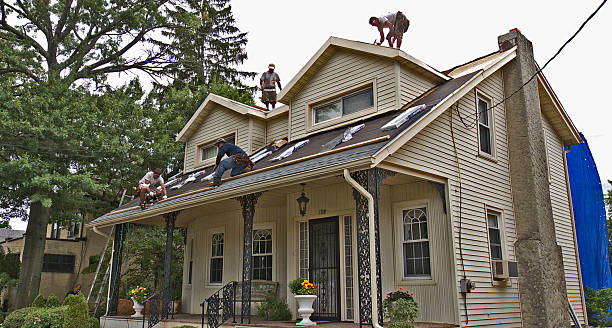 Best Flat Roof Repair Services  in Spicer, MN